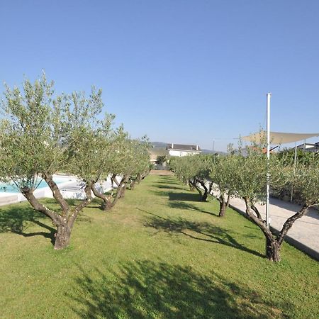 Villa Olival Da Seara Marco de Canavezes Exterior foto
